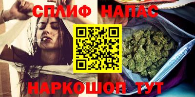 сатива Бийск
