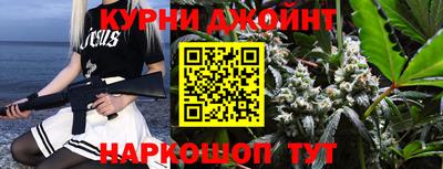 сатива Бийск
