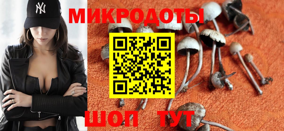 Псилоцибиновые грибы мицелий  даркнет сайт  Камышлов  Галлюциногенные грибы ЛСД  Вход с VPN 